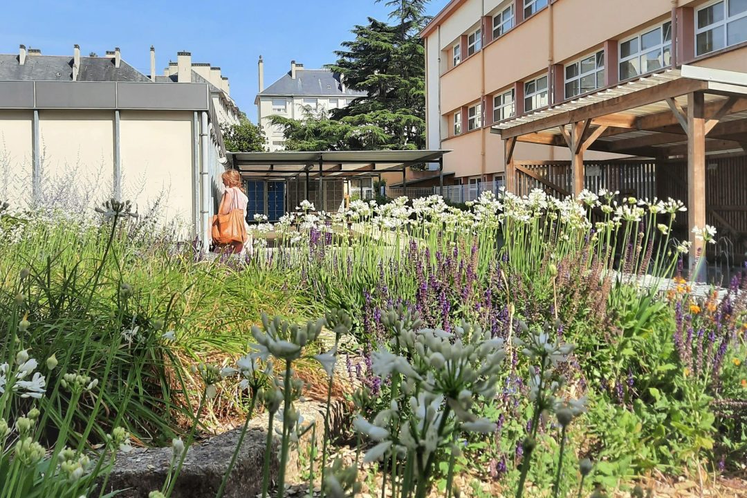 COLLEGEGASTONSERPETTE-D&B (73)