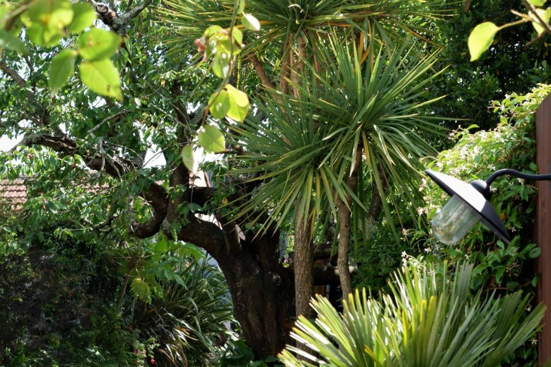 JARDINDESEXPLORATEURS-D&B (118)