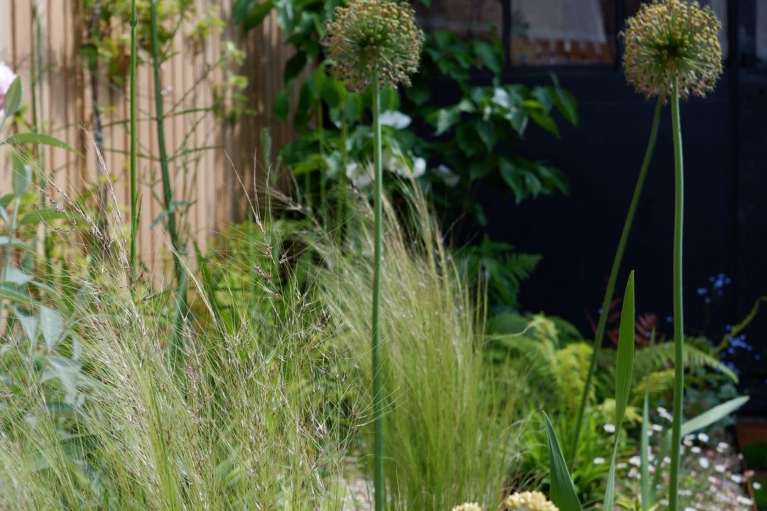 Jardin Pierre Soulage -D&B (115)