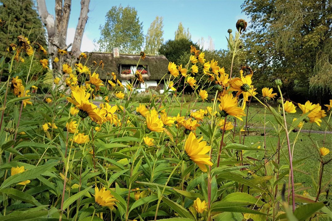 jardin normandie-Houlgate -D&B (2)