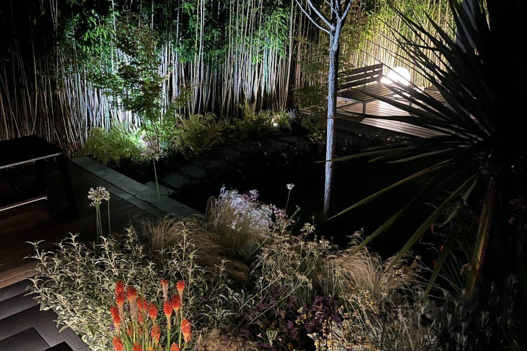 jardin ultra-contemporain_D&B_2024 (1)