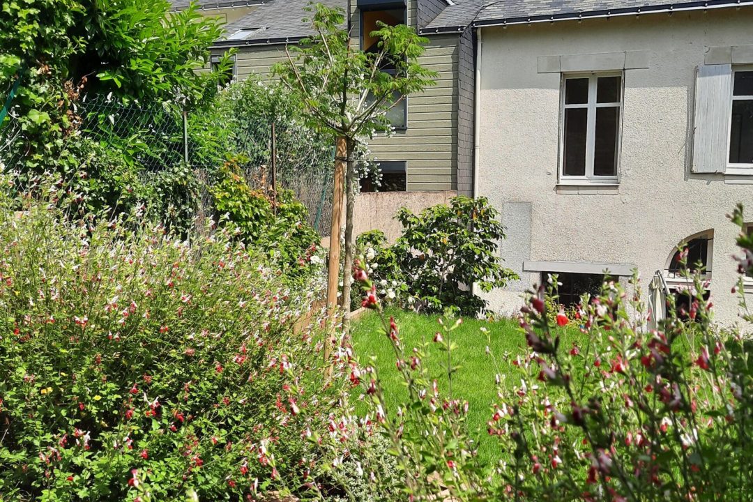 jardindesCamelias-D&B (146)